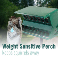 Absolute II Double Sided Bird Feeder with Pole & Hanger