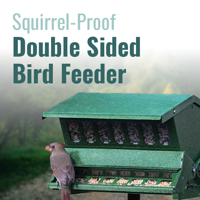 Absolute II Double Sided Bird Feeder with Pole & Hanger