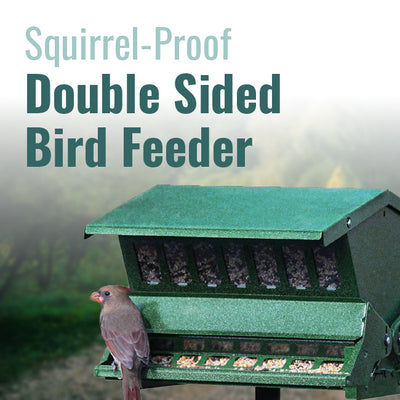 Absolute II Double Sided Bird Feeder with Pole & Hanger