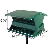 Absolute II Double Sided Bird Feeder with Pole & Hanger