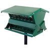 Absolute II Double Sided Bird Feeder with Pole & Hanger