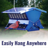Absolute II Double Sided Squirrel Resistant Electric Blue Bird Feeder