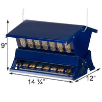Absolute II Double Sided Squirrel Resistant Electric Blue Bird Feeder