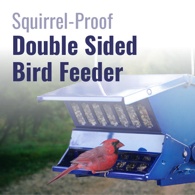 Absolute II Double Sided Squirrel Resistant Electric Blue Bird Feeder