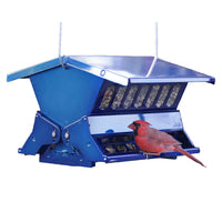 Absolute II Double Sided Squirrel Resistant Electric Blue Bird Feeder