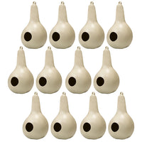 Purple Martin Gourds, Pack of 12