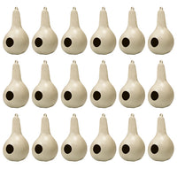 Purple Martin Gourds, Pack of 18