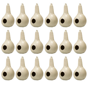 Purple Martin Gourds, Pack of 18