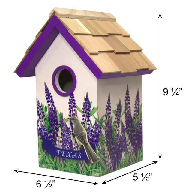 Bird Cottage for Texas, Mockingbird and Bluebonnet - Thumbnail 4