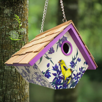 Hanging Wren House, Goldfinch and Clematis Print