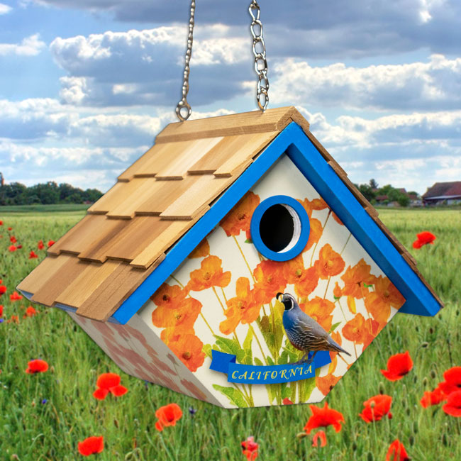Wren House for California, Quail and Golden Poppy