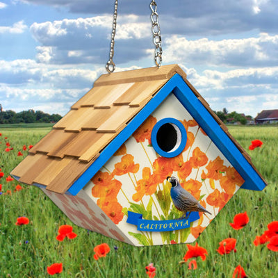 Wren House for California, Quail and Golden Poppy