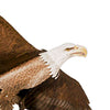 American Bald Eagle Kite, 60" Wingspan