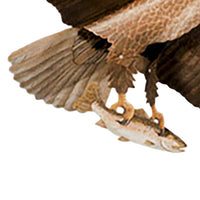 American Bald Eagle Kite, 60" Wingspan