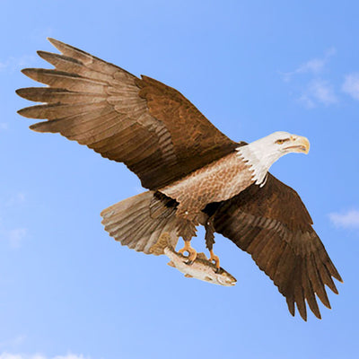 American Bald Eagle Kite, 60