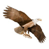 American Bald Eagle Kite, 60" Wingspan