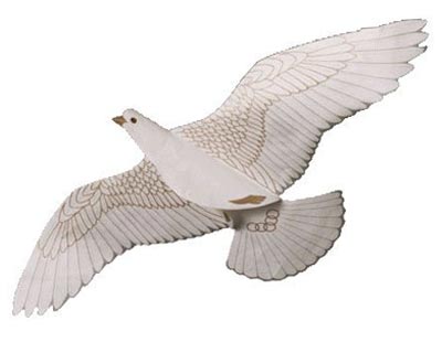 Dove of Peace Kite, 42