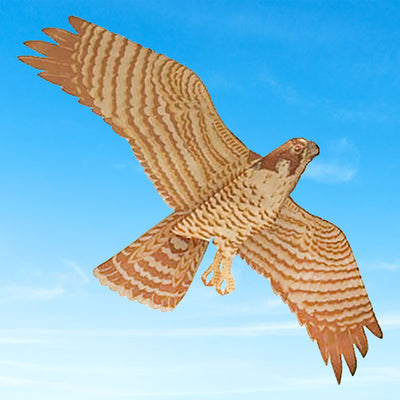 Peregrine Falcon Kite, 43.5