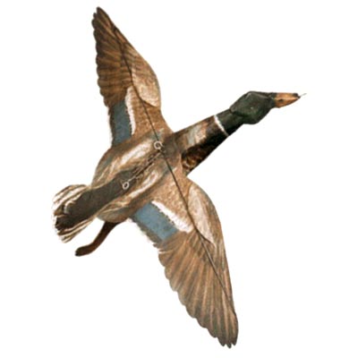 Mallard Duck Drake Kite, 32