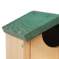 Screech Owl and Kestrel House
