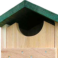 Screech Owl and Kestrel House