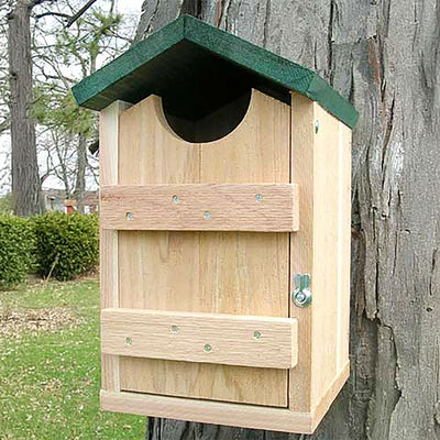 Kestrel and Screech Owl House