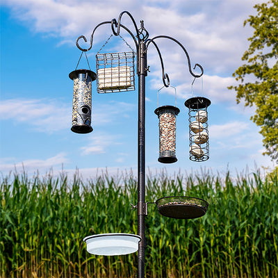 Jester Premium Bird Feeding Station with Feeders, Black, 7'6.5