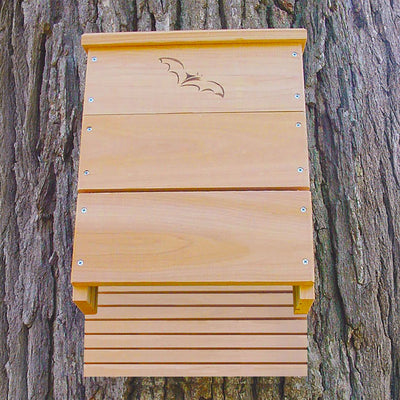 OBC Triple Chamber Bat House, SE521, 300 bats