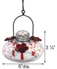 Parasol Bloom Botanica Hummingbird Feeder, Clear