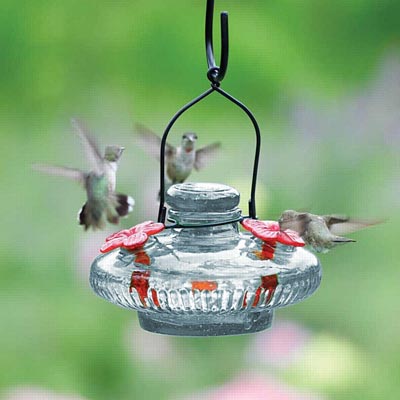 Parasol Bloom Hummingbird Feeder, Clear