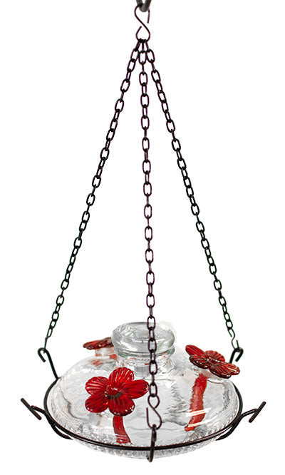 Parasol Bloom Hummingbird Feeder with Perch, Clear