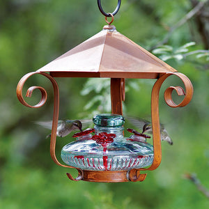 Parasol Bloom Shelter Hummingbird Feeder, Clear