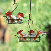 Parasol Bouquet-3 Hummingbird Feeder, Clear