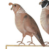 Regal Quail Family Yard Art