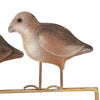 Regal Quail Family Yard Art