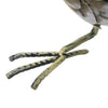 Regal Roadrunner Bird Decor, Large