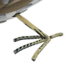 Regal Roadrunner Bird Decor, Large