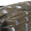 Regal Roadrunner Bird Decor, Large