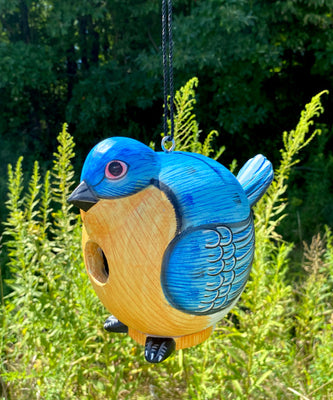 Songbird Essentials Gord-O Bird House, Bluebird