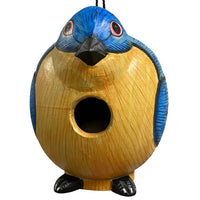Songbird Essentials Gord-O Bird House, Bluebird