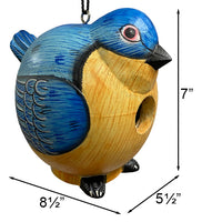 Songbird Essentials Gord-O Bird House, Bluebird