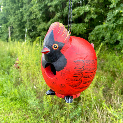 Songbird Essentials Gord-O Bird House, Cardinal