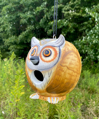 Songbird Essentials Gord-O Bird House, Owl