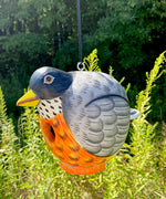 Songbird Essentials Gord-O Bird House, Robin
