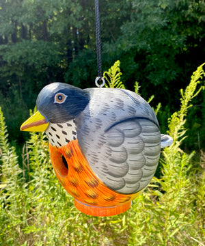 Songbird Essentials Gord-O Bird House, Robin
