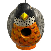 Songbird Essentials Gord-O Bird House, Robin