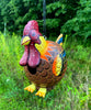 Songbird Essentials Gord-O Bird House, Rooster