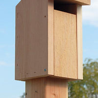 Sparrow-Resistant Bluebird House
