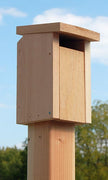 Sparrow-Resistant Bluebird House