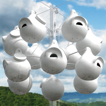 Troyer's SuperGourds with Crescent Entries & Porches, 12 Pack
